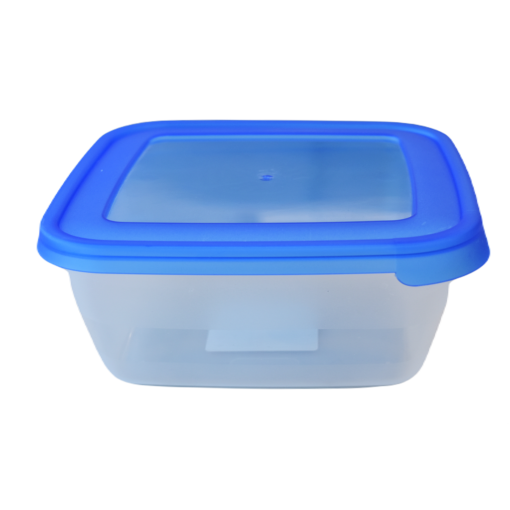 Conteneur De Rangement Carré En Plastique Artika 2.5 L🚩PROMOTION