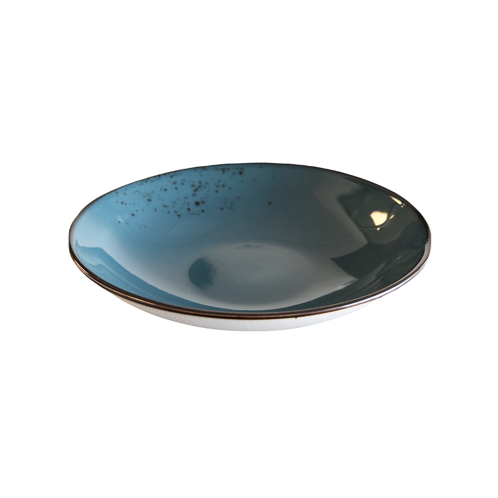 "Terra"  Bol Dap-Nouveau Bleu 10"