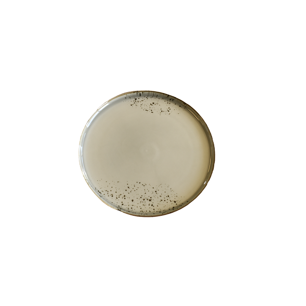 &quot;Terra&quot; Assiette Ronde 9.25'' Dap-Grise
