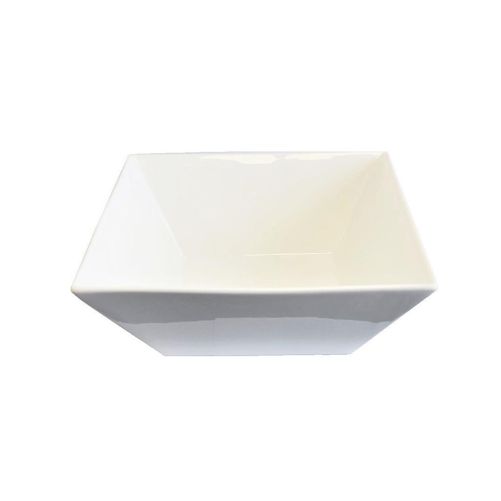 Vitrex Plus Bol  Rectangulaire 10''(3 L) (6)